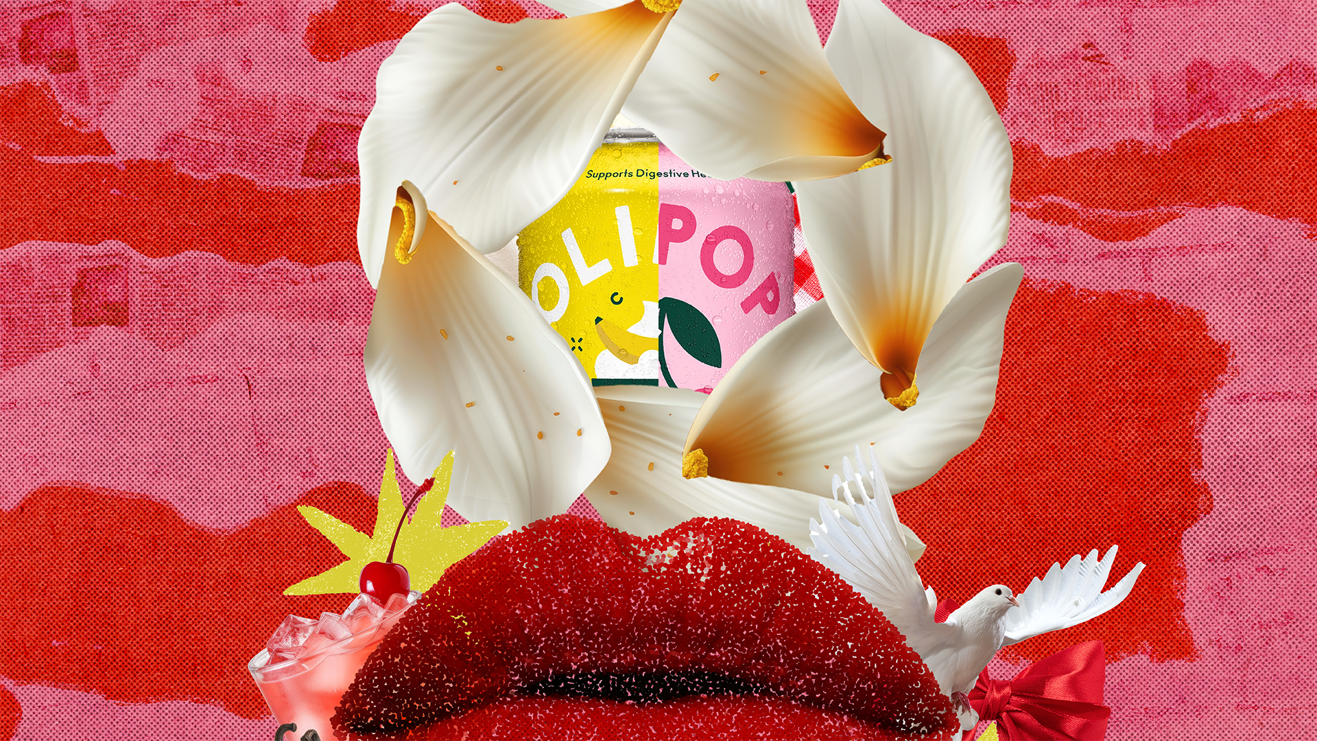 Olipop 12
